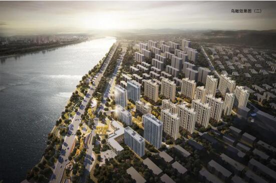 1611708376615139.jpg 11.jpg