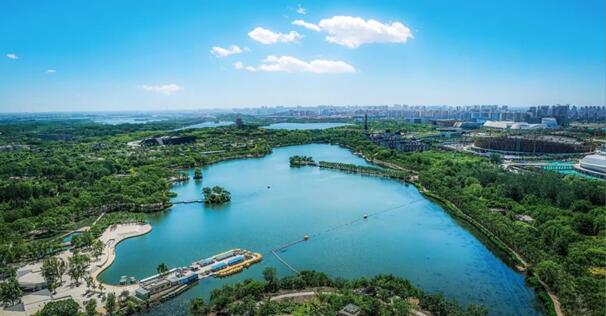 1613955045129099.jpg 2.jpg