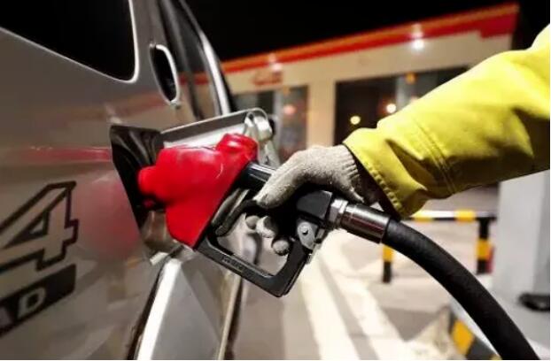 1614997509738210.jpg 03.jpg